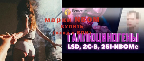 шишки Ростов