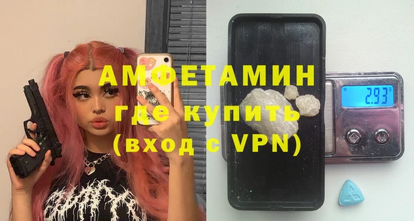 шишки Ростов
