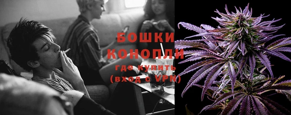 шишки Ростов