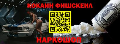 крисы Пенза