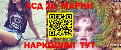 крисы Пенза