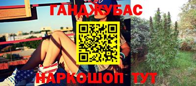 крисы Пенза