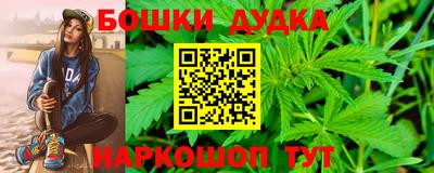 крисы Пенза