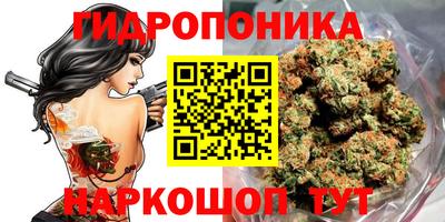 крисы Пенза
