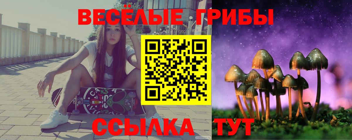 Чита  Галлюциногенные грибы Magic Shrooms  Вход с VPN 